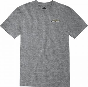 Emerica Emerica X Independent Bar T-shirt Herr Grå | Sverige-1243987