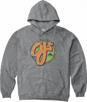 Emerica Oj Circle Sweatshirt Herr Grå | Sverige-8349150