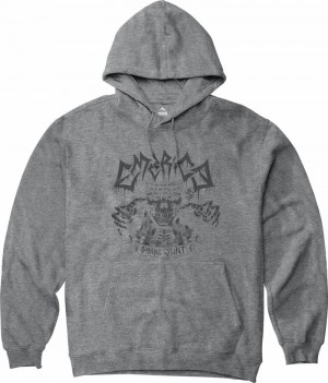 Emerica Shake Junt Skull Sweatshirt Herr Grå | Sverige-6392184