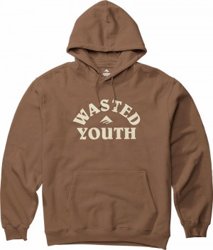 Emerica Wasted Sweatshirt Herr Bruna | Sverige-4076193