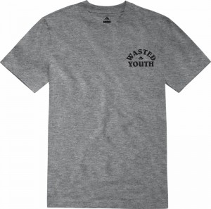 Emerica Wasted T-shirt Herr Grå | Sverige-4150269