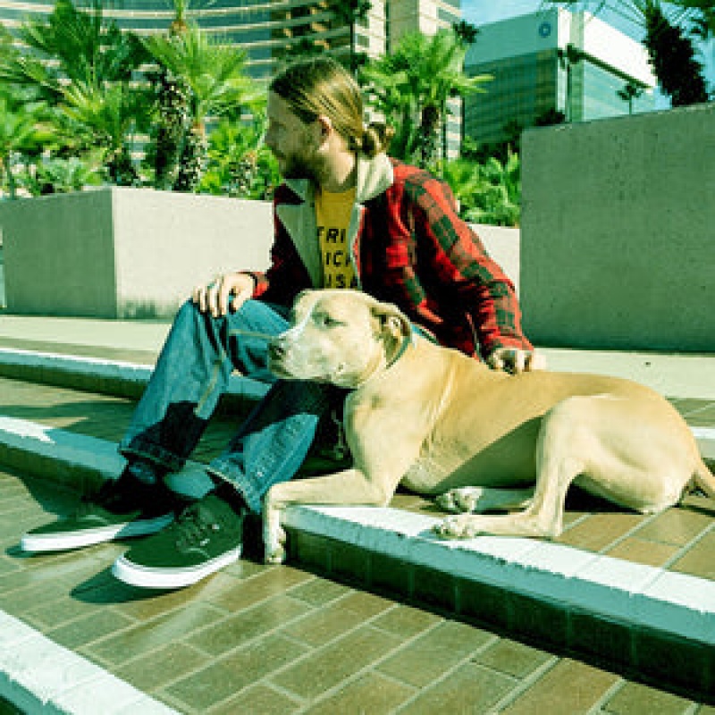 Emerica Dickson Skateskor Herr Svarta Vita Guld | Sverige-0576831