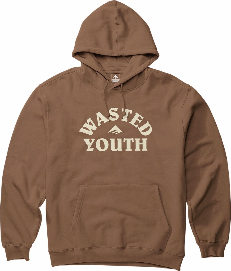 Emerica Wasted Sweatshirt Herr Bruna | Sverige-4076193