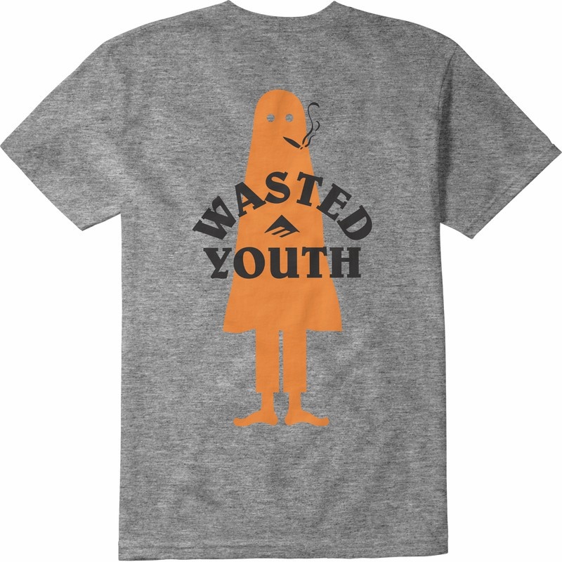 Emerica Wasted T-shirt Herr Grå | Sverige-4150269